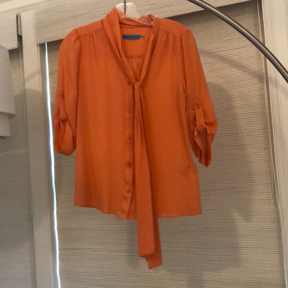 Alice and Olivia Chiffon shirt